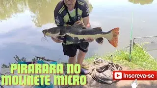 Pirarara no molinete micro,  &eacute; espetacular essa experi&ecirc;ncia,  Penapolis SP 