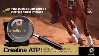 CREATINA ATP Lavizoo