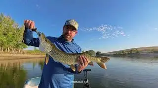 Newton August 2025 Largemouth Bass and Tiger Muskie Fishing!!!