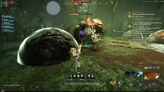 New World, Garden of Genesis Dungeon: Mutated 9 Rank Gold