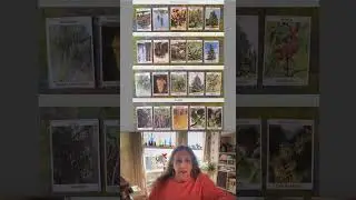 Minneapolis Protests/Greenland/Bomb Iran?&mdash;So Much Going On!  #currentevents#oraclecards #channeling