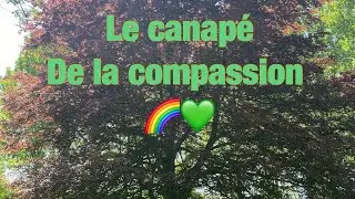 Le canapé de la compassion