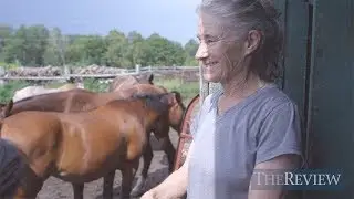 Vankleek Hill Festival of Flavours - Review Video Stories