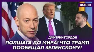 Ну это же абсурд! Гордон вышел из себя и взорвал эфир!