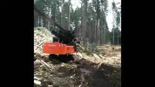 Hitachi Stroke Delimber - II