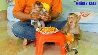Baby Monkey | Monkey Kako And Monkey Luna Eating Fried Baby Corn | Monkey Eat Fried Corn