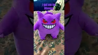 I have a new companion with me | #pokemon #pokemongengar #plush