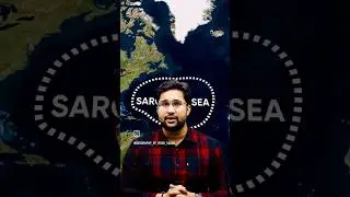 sargasso sea #geography #sargassum #ocean #ssc #upsc #shortvideo