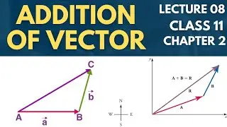 Addition of vector class 11 | Graphical method head to tail rule class 11 | polygon rule | Lecture 8