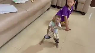 Monkey Jasmine prepearing run esc..pe from mom & liya catching her