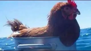 Unknown music - help identify