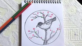 || Bird Drawing In Circle || Bird Drawing Easy || #birddrawingeasy #birddrawing