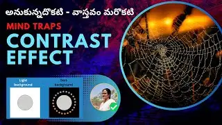 Mind Traps: The Contrast Effect - The Illusion of Perception