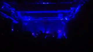 Zebrahead - Playmate of the year (Live at Flex, Vienna 27/10/2013)