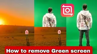 How to remove green screen In shot App | InShot green screen editing