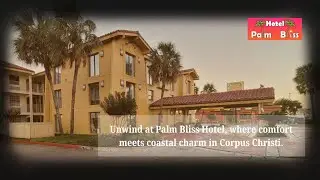 Palm Bliss Hotel | Cozy & Affordable Corpus Christi Hotel for a Relaxing Stay