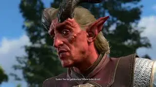 Baldur's Gate 3 Dark Urge Psycopath Role Play Honor Mode (Part 5/24)