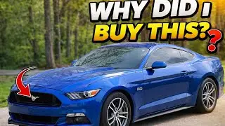 Why Did I Buy This? 2017 Mustang GT Six-Speed Summer Drive