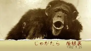 じゃがたら★Live at 屋根裏　1982.7.25.