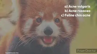 Veterinary Multiple choice questions! For any competitive examinations, 100% pass