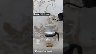 HomeBlend Mysore Nuggets