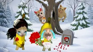 Banana cat crying not happy compilation 465 #babybananacat #happycat #catmemes #bananacat