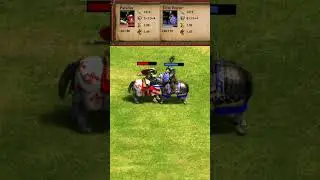 Paladin vs Boyar (AoE2) #Shorts