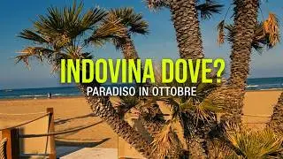 Le palme🏝 di Hawaii Bar, il panorama mare e tutto il resto, per&ograve; in ottobre. Dove? Indovina