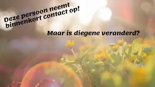 Deze persoon neemt binnenkort contact op! Maar is diegene veranderd? - Tarot Reading