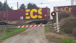 Si abbassano le STORICHE CAMPANE... E ARRIVA un MEGA TRENO LUNGHISSIMO a VIGNALE!!! 