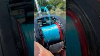 Bold Casts, Clean Control 🌊 Sea Blue Power on the Water #reactiontackle #fishing