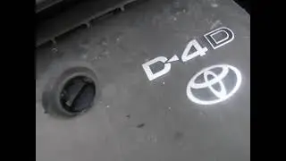 DSCF2504