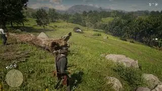 RDR2 - Flying Carriage