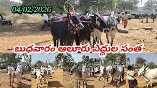 04/02/2026 బుధవారం ఆలూరు సంతలో ధరలు ఏ విధంగా ఉన్నాయో చూడండి ఫ్రెండ్స్