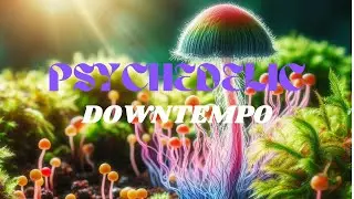 Hyphae (Psychedelic Downtempo With Visuals)
