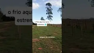 aqui e sol demanha  e chuva a tarde 😱 miseric&oacute;rdia presta aten&ccedil;&atilde;o 😱