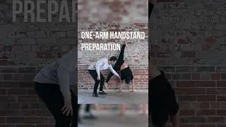 One-Arm Handstand Preparation: The Flag Wall Slide