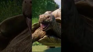 Are Tortoises Amphibians Now? 🐢  #planetzoo #planetzoodlc