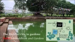 The Buddha's birth in Lumbini Garden: Pt1 of Buddhism and Gardens Videos