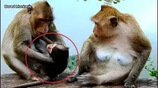 Poor young mother Brinn break heart worry baby Bree-try talk request Tara don't hurt Bree