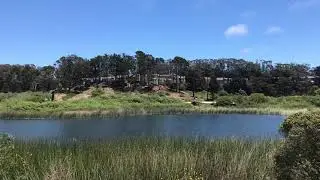 Lake woods hills San Francisco green screen zoom virtual background