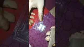 new candy taste video #tasty #amazing #food #new #trend 🎁🎁🎁💝💝💝