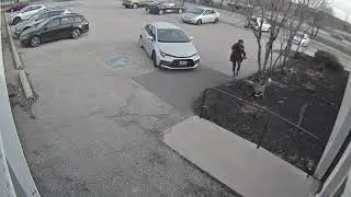 Protective Goose Attacks Girl in Parking Lot While She Tries Entering Her Workplace - 1117009-4