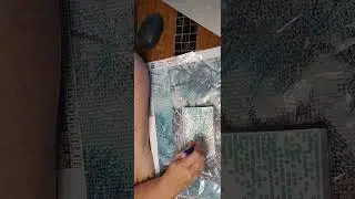 WIP & Chat Snow Owl 5 Diamond Painting part 1