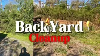 BackYard Cleanup 🚚🪚♻️