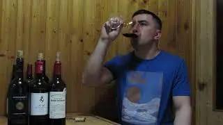 chateau Moulin Rich Saint Juilen 2013 французское вино (2-я ЧАСТЬ)