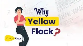 Why Yellow Flock