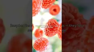 What Happens If You Eat Raspberries Every Day?