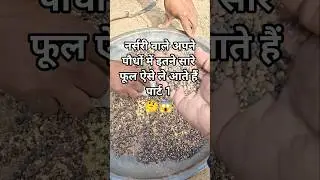 अधिक फूलों का सीक्रेट#gardening#floweringplant#garden#plants#flowers#plantcare#nature lovers#nature