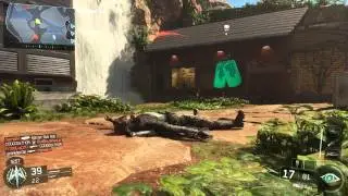 XIM4 BO3 Beta (CoDGODxTHOR)